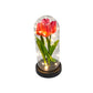 Tulipanes en cúpula con luces LED